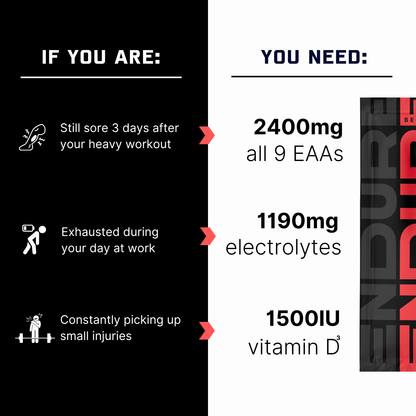 ENDURE Recovery - Berry Beyond